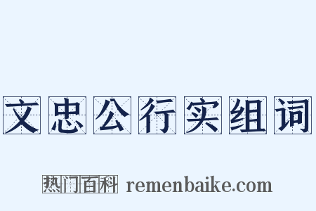 文忠公行实组词是什么意思的图片